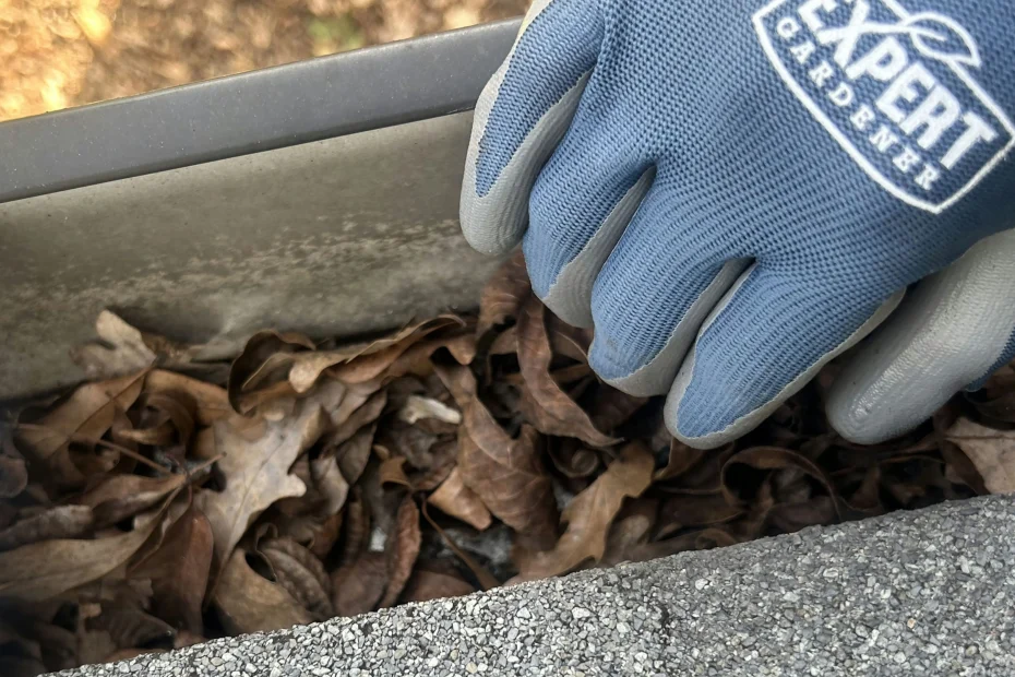 Gutter Cleaning Charlotte NC